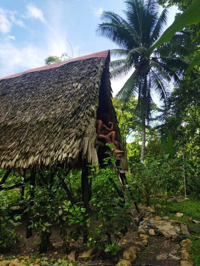 La Aldea Del Primitivo Hotell Nuquí Eksteriør bilde